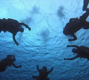 Tek Essentials Diver